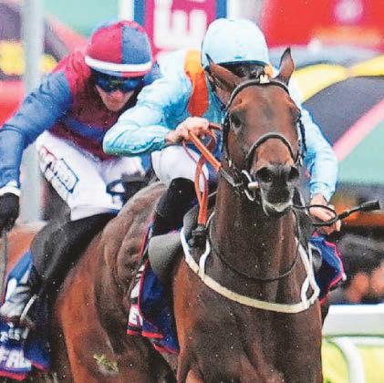 ST LEGER ON GRIFF AGENDA