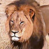 Joanna's anger at no trophy hunt ban