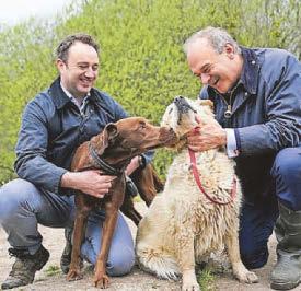 Cruel puppy smugglers facing ban