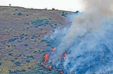 Festival landmark in blaze drama