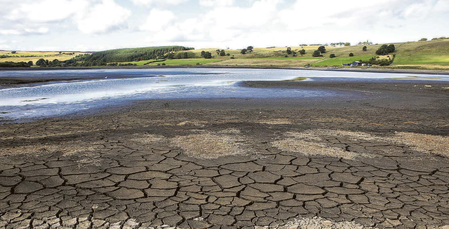 Hundreds of fish die as reservoir running dry
