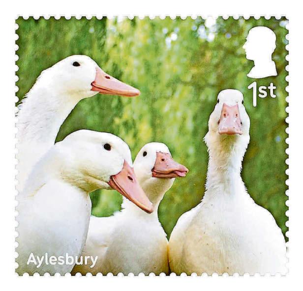 Quacking stamps...but it's bound to be a bill!