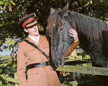 Bolting Army horse out to grass