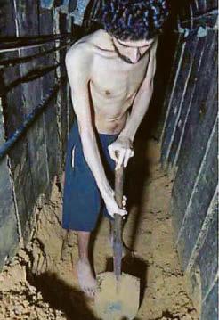 Free after having to dig own grave