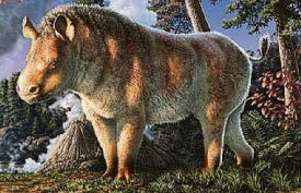 Scientists uncover Arctic 'rhinosaur' named Frosty