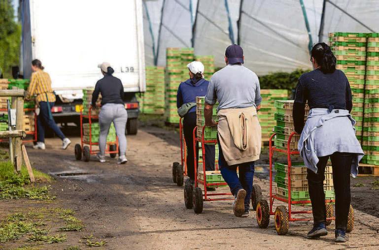 Tough choices for a country already squeezed dry...