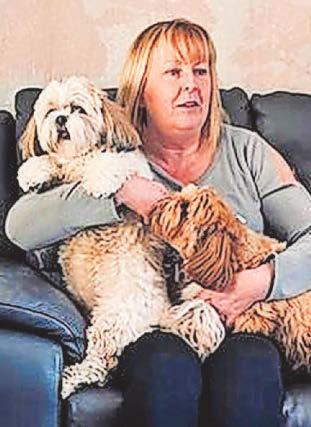 Cocaine driver jailed for causing fatal smash