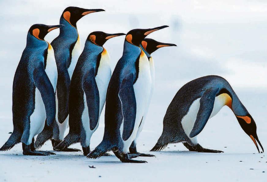 The Saturday briefing