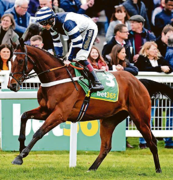 STEEL DELIVERS FOR IN-FORM SAM