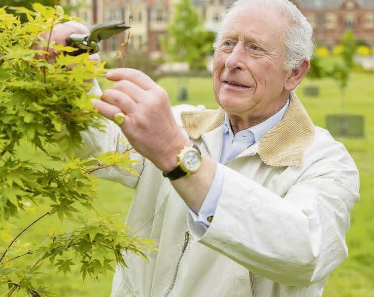 Green-fingered King gets to work in restored haven