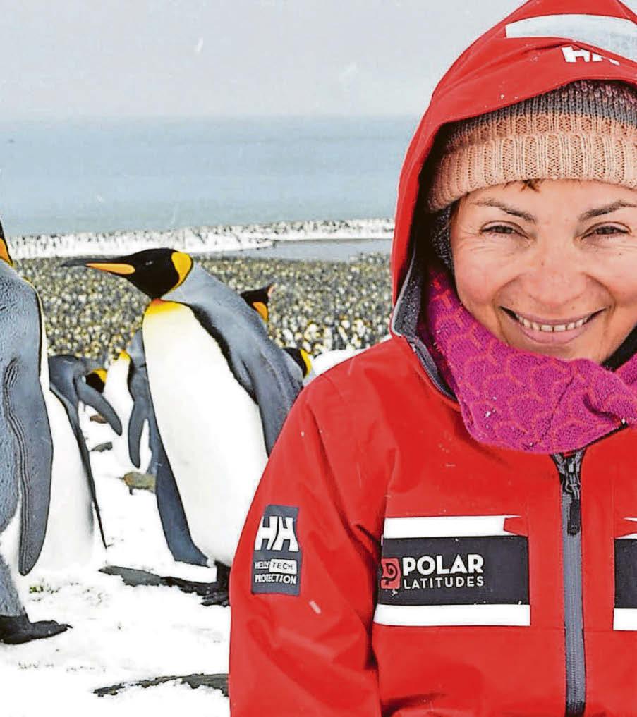 Lorraine wades into aquarium penguin row