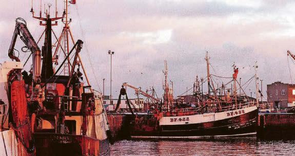 'Fishing sector must not become casualty of green push'