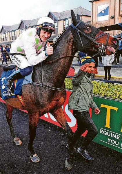 WILLIE'S WAR HORSE