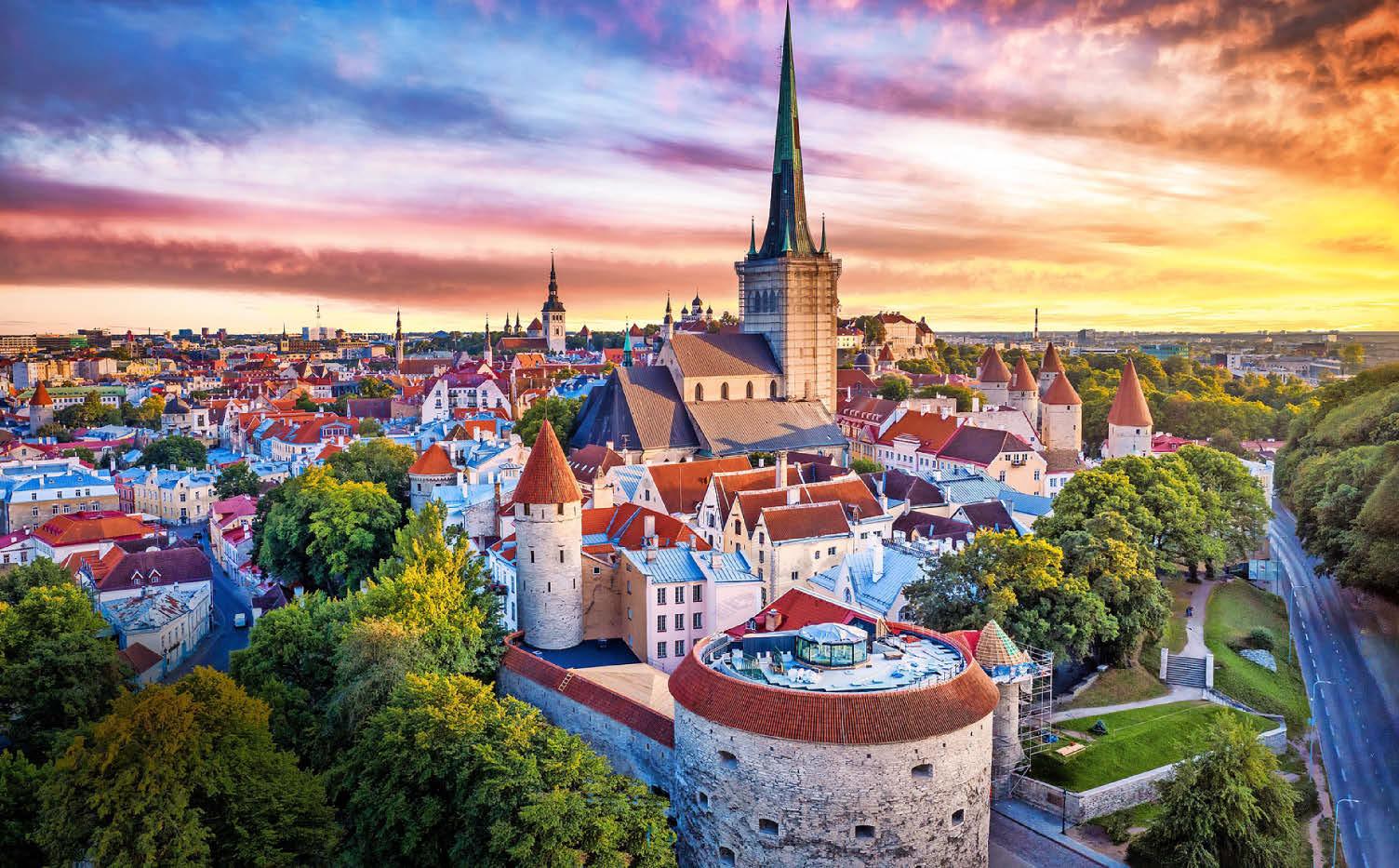 Tallinn scouted