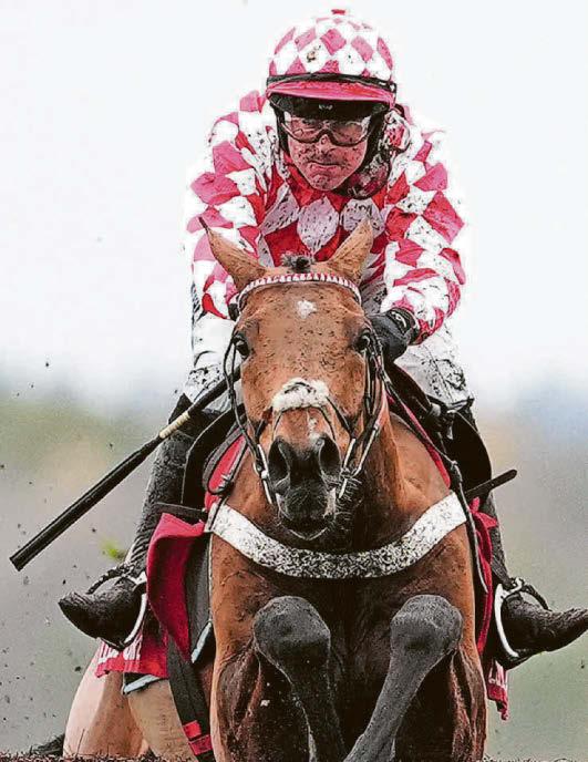 BULLISH ABOUT BAIE