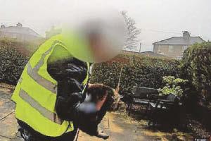 'Catnapper' driver probe