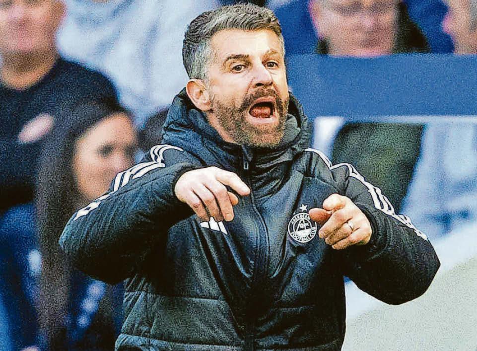 NO PAISLEY PATTERN FOR ROBBO THE RED