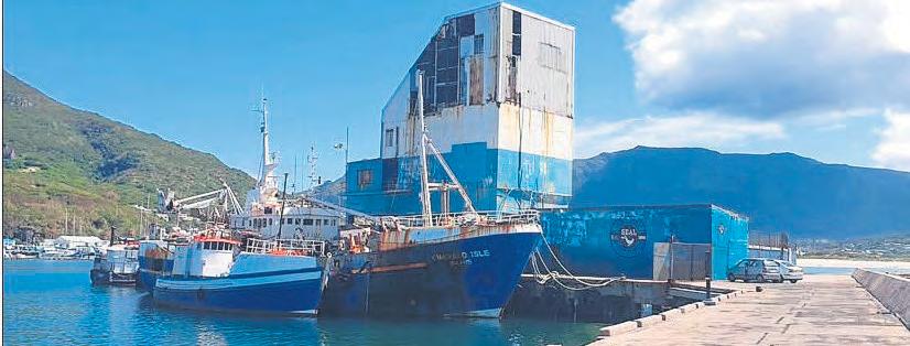 Seal-rescue agency is in difficulties