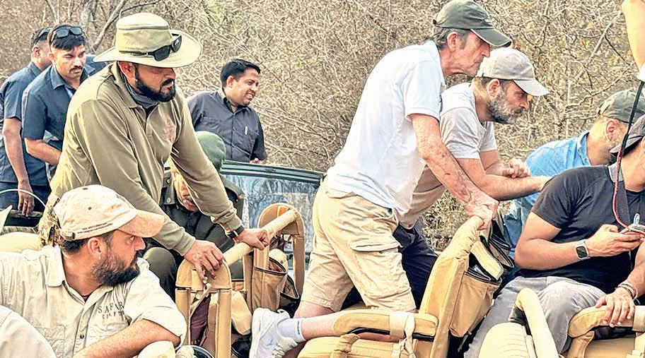 RaGa awed as ailing tigress hunts for cubs