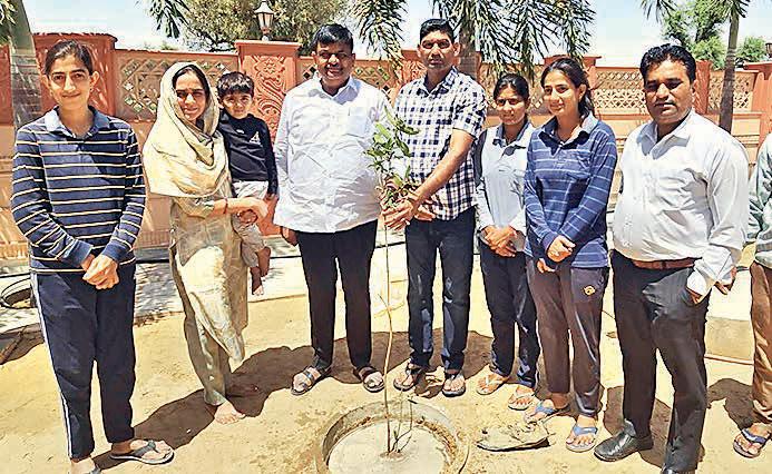 Raj Forest Min urges massive tree plantation