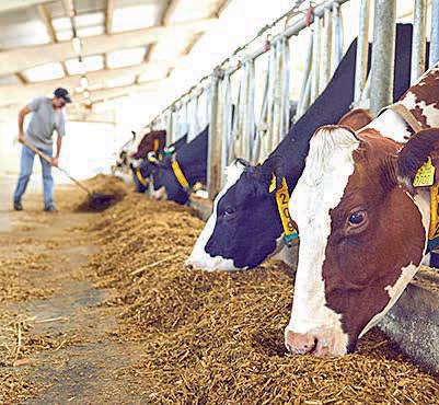 Govt to give round-the-clock services at top Vet hospitals soon