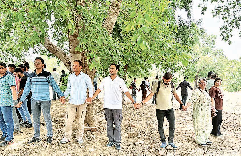 Environmentalists detained for opposing deforestation