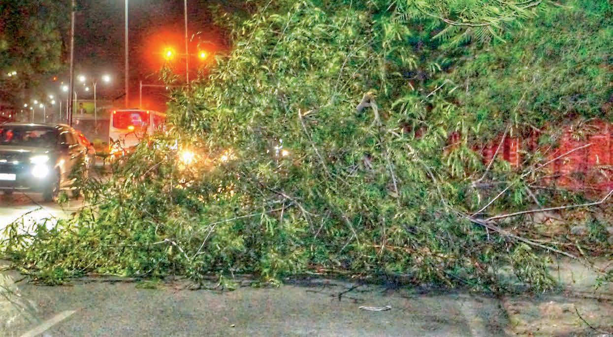 Storm chaos in Rajasthan
