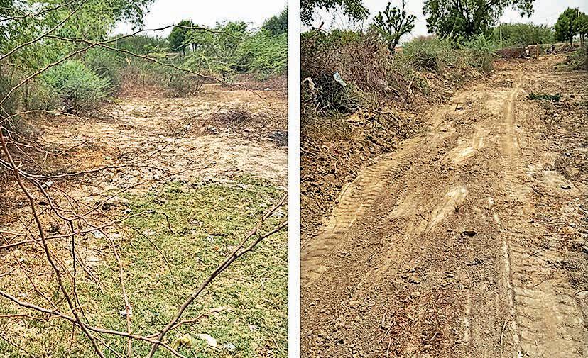 1,182 closed routes reopen across Jpr district