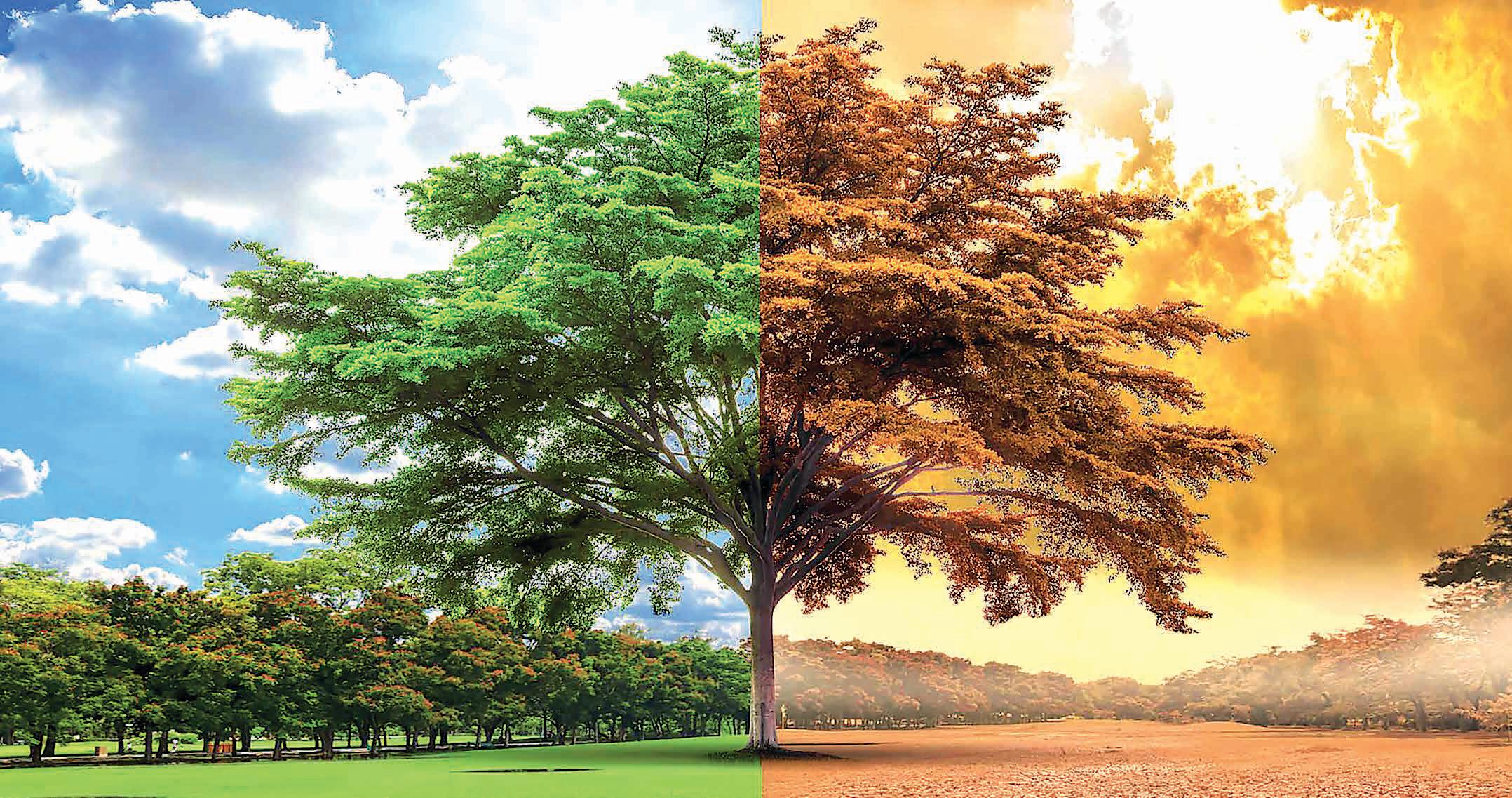 Climate Change will be most impactful risk facing worldwide in coming times