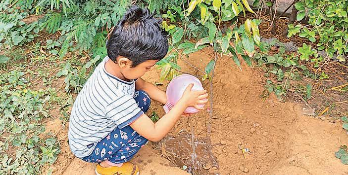 Tiny hands, big impact: Child planting sapling sparks green hope