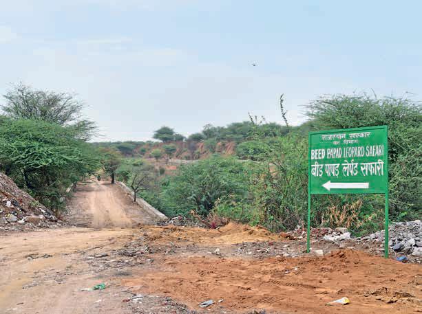 Beed Papad safari opens for public