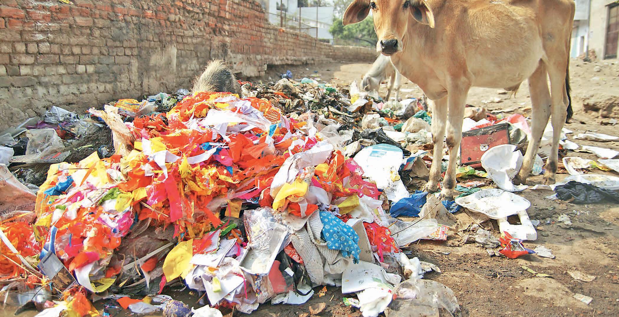 POLLUTION IN RAJASTHAN FROM CRISIS TO CONTROL