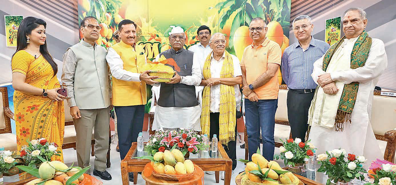 'Rajasthan should host annual mango fest'