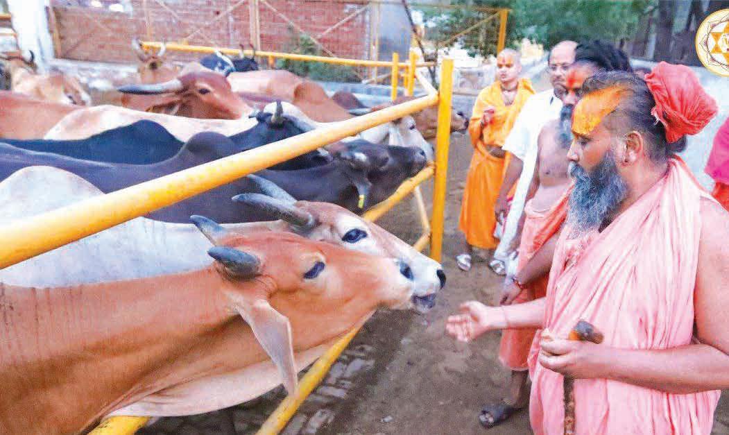 गोसेवा और आस्था का आधुनिक मॉडल श्रीजड़खोर गोधाम