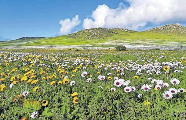 Plan to mine park sparks outrage