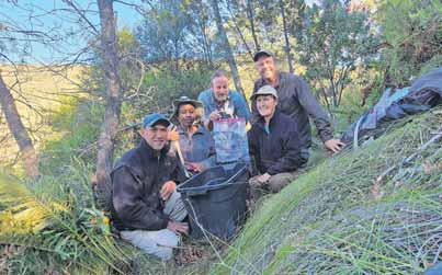Wildlife surprise: Elusive forest shrew found in Western Cape