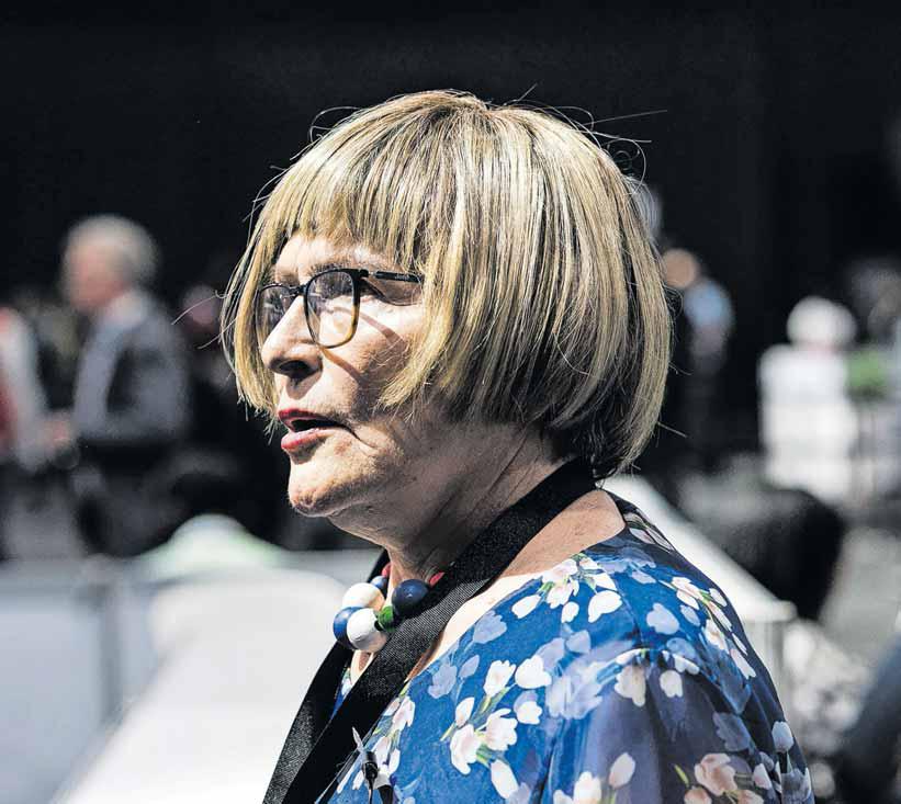 Coalition: DA plays a divisive game