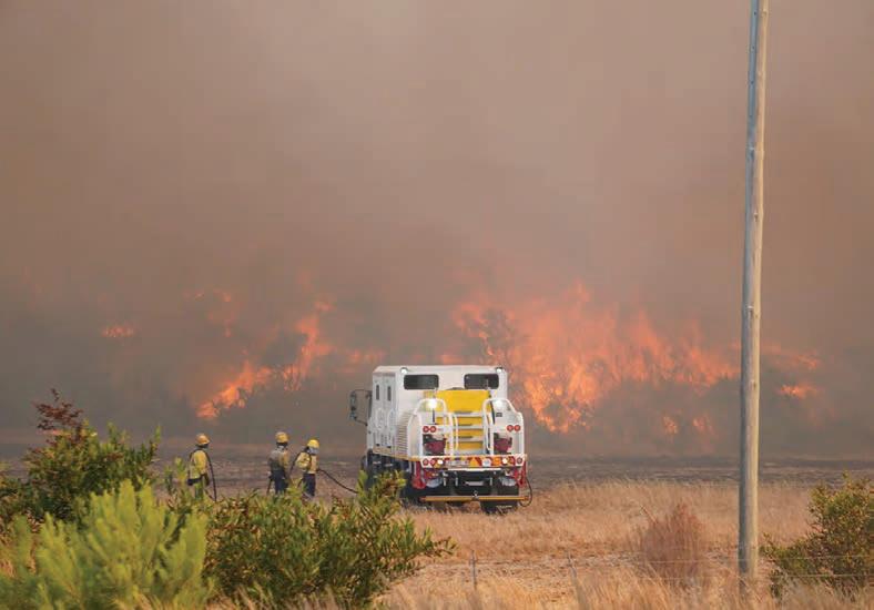 Beyond the flames: disaster flares belong on the G20 stage