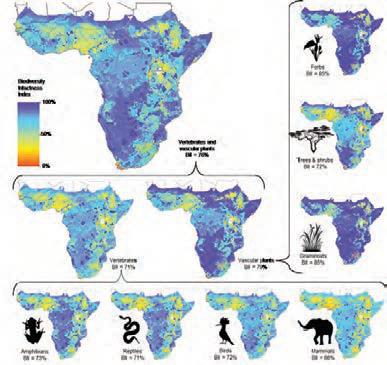 Sub-Sahara's severe nature losses