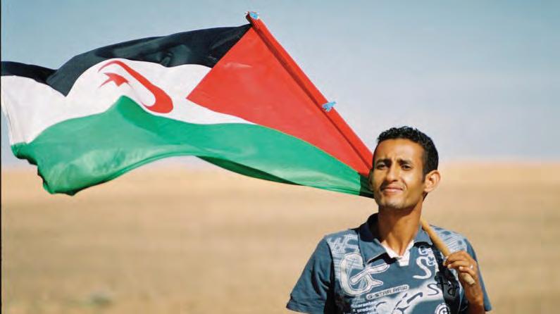 Law, dignity and the cost of silence