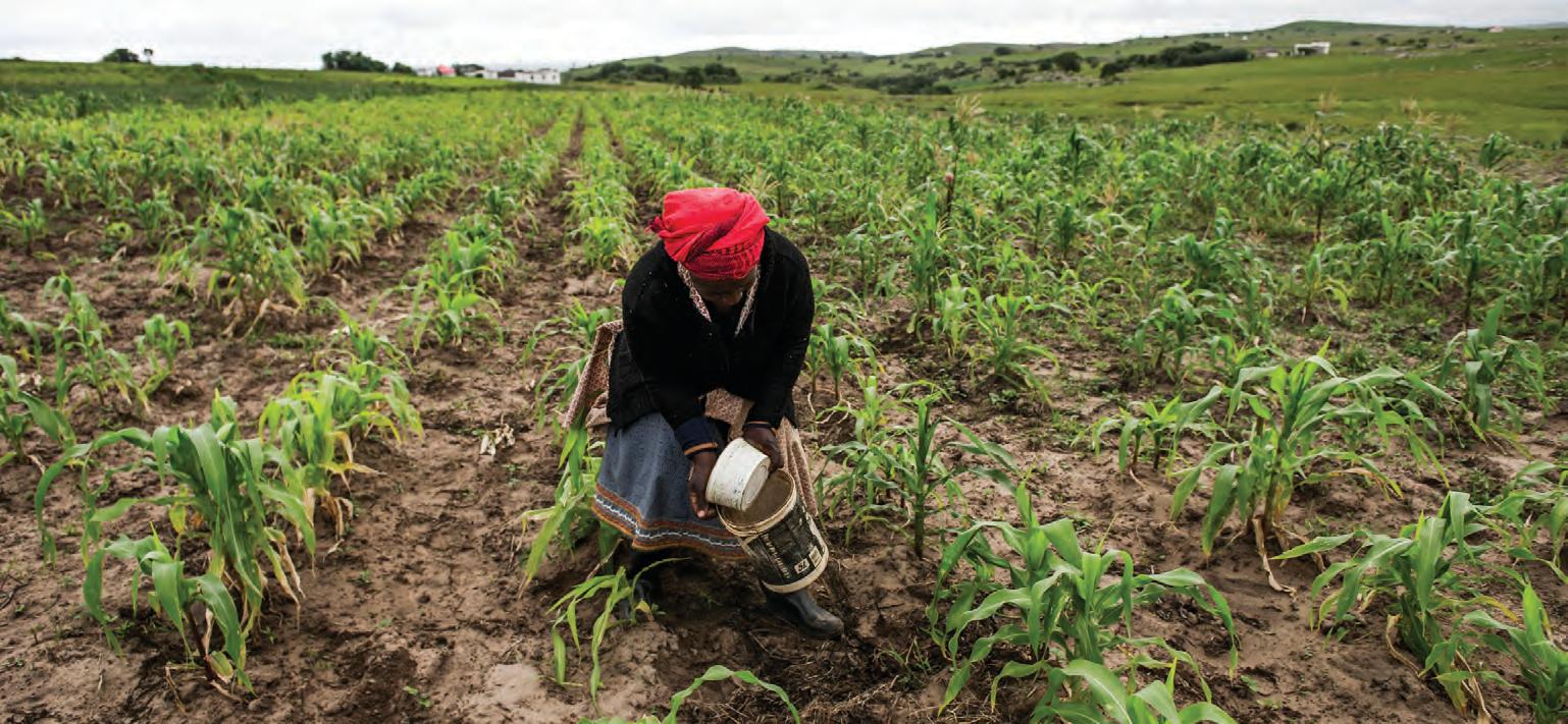 Land as Mother: The sacred politics of food