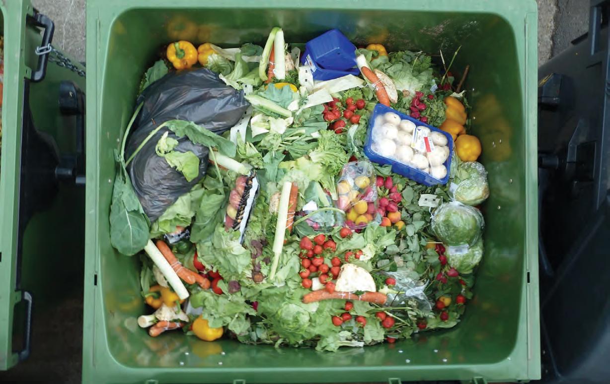 The state's role in corporate capture of our food systems