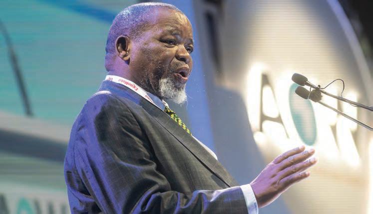 Mantashe's second adviser rejected