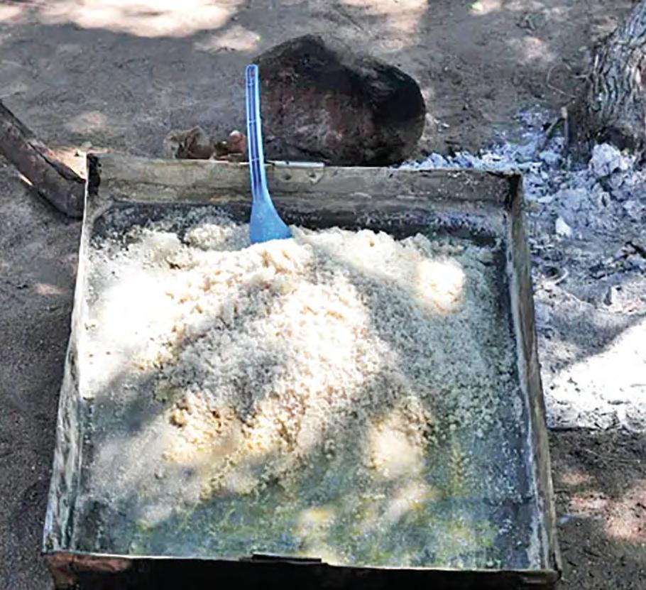 Salt project sustains tradition and livelihoods