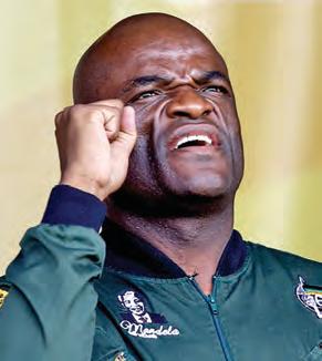 Zamani Saul warns of ‘ugly' ANC succession battle