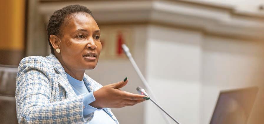 Minister Thembi Simelane mugged in broad daylight