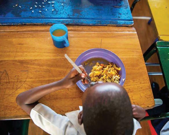 Gauteng education unable to pay for school nutrition programme