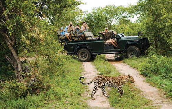 Mpumalanga leads the pack in international tourist inflows