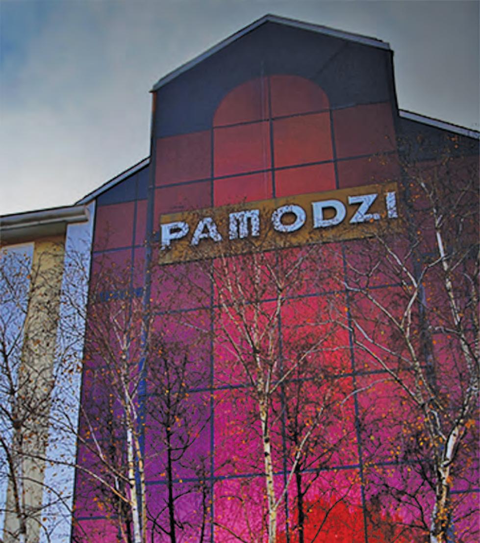 Pamodzi shareholders ask court for independent audit