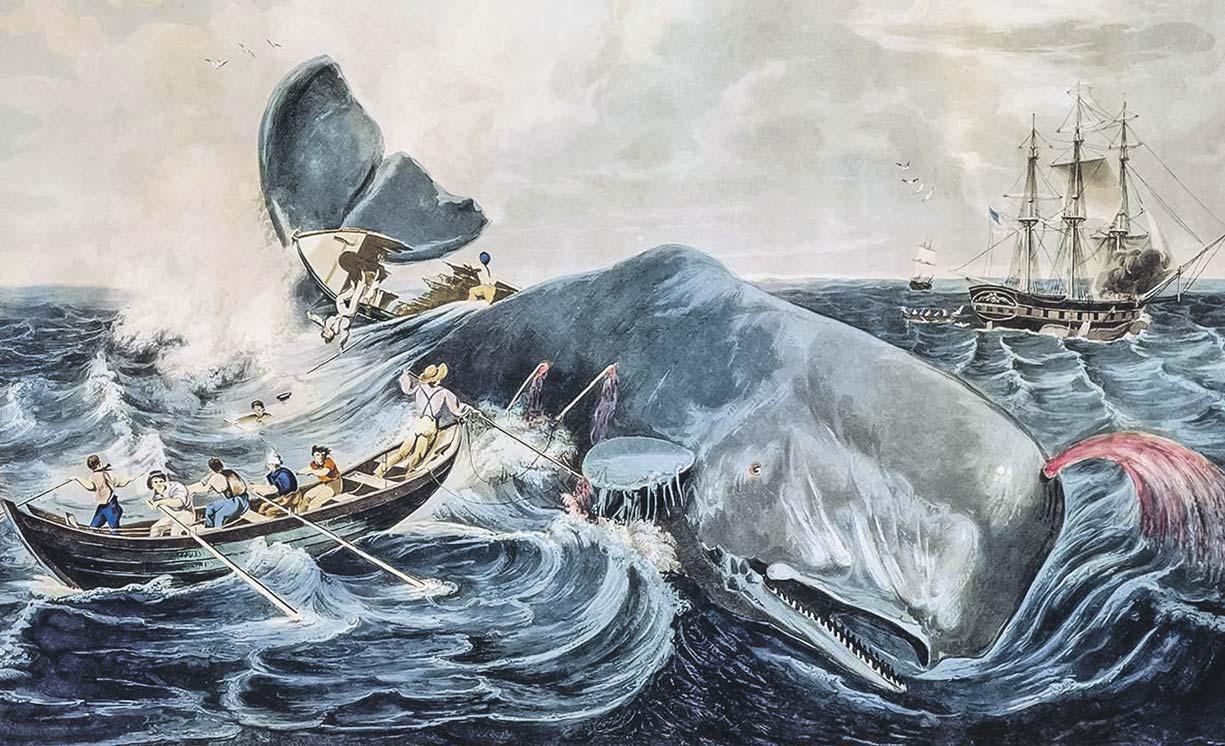 Whale of a time How Moby-Dick marathons became American tradition